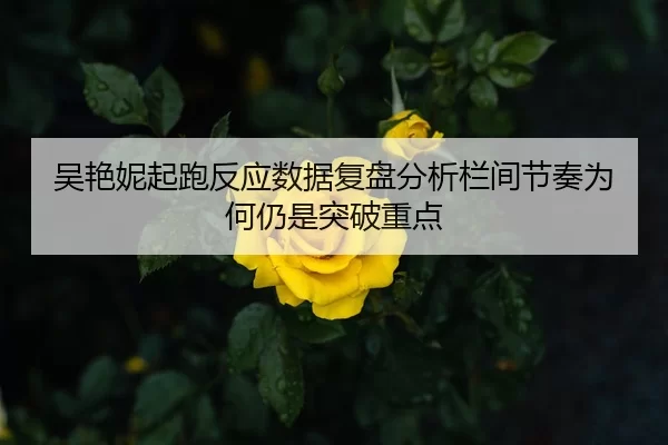 吴艳妮起跑反应数据复盘分析栏间节奏为何仍是突破重点