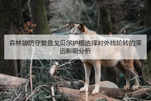 森林狼防守复盘戈贝尔护框选择对外线轮转的深远影响分析