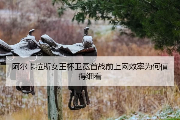 a-er-ka-la-si-nv-wang-bei-wei-mian-shou-zhan-qian-shang-wang-xiao-lv-wei-he-zhi-de-xi-kan-2-134.jpg