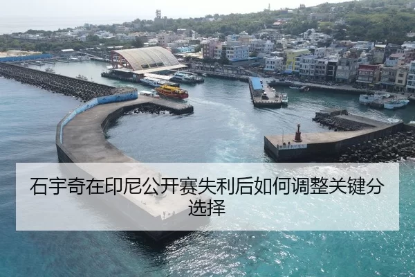 石宇奇在印尼公开赛失利后如何调整关键分选择