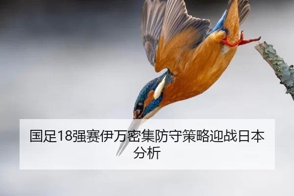 guo-zu-qiang-sai-yi-wan-mi-ji-fang-shou-ce-lve-ying-zhan-ri-ben-fen-xi-2-286.jpg