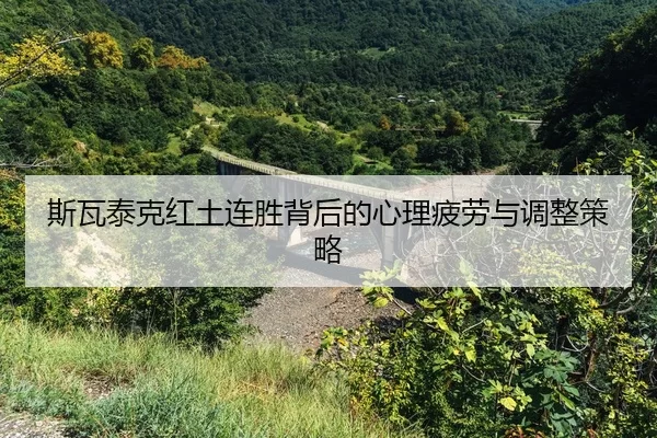 si-wa-tai-ke-hong-tu-lian-sheng-bei-hou-de-xin-li-pi-lao-yu-tiao-zheng-ce-lve-2-458.jpg