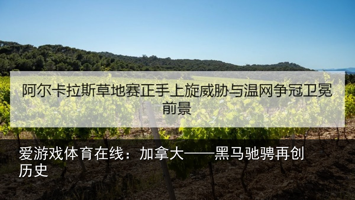 爱游戏体育在线:加拿大——黑马驰骋再创历史
