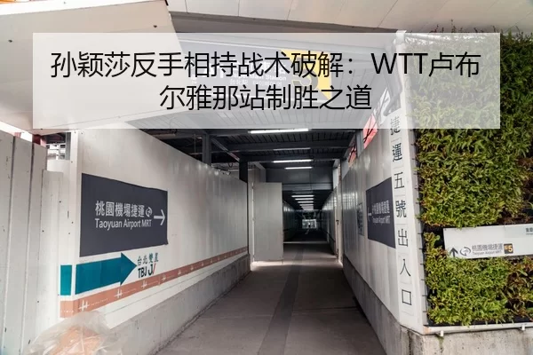 孙颖莎反手相持战术破解：WTT卢布尔雅那站制胜之道