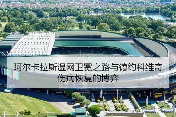 a-er-ka-la-si-wen-wang-wei-mian-zhi-lu-yu-de-yue-ke-wei-qi-shang-bing-hui-fu-de-bo-yi-3-259.jpg