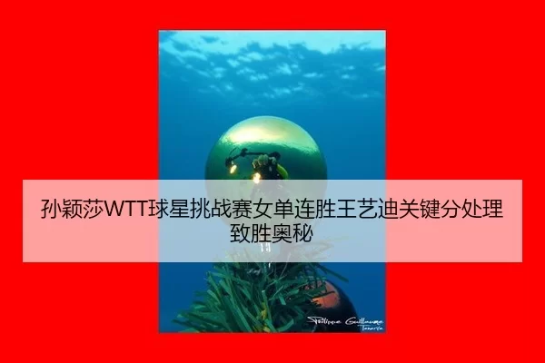 sun-ying-sha-qiu-xing-tiao-zhan-sai-nv-dan-lian-sheng-wang-yi-di-guan-jian-fen-chu-li-zhi-sheng-ao-mi-2-799.jpg