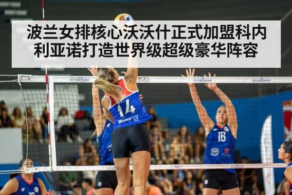 women's volleyball match