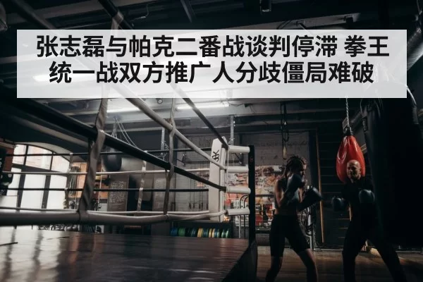 boxer training